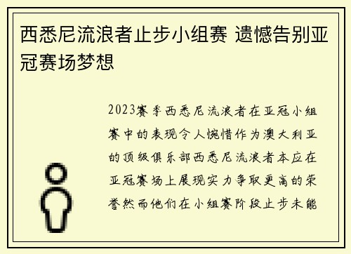 西悉尼流浪者止步小组赛 遗憾告别亚冠赛场梦想
